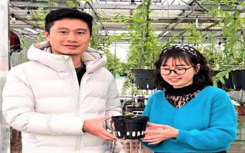Ngỡ ngàng trước vườn lan triệu đô trên nóc nhà của chàng trai Lê Mạnh Chung